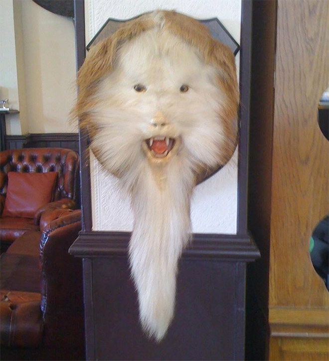 Taxidermists Are Seriously Turning Deer Butts Into Assquatches