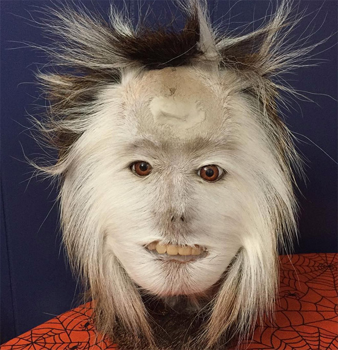 Taxidermists Are Seriously Turning Deer Butts Into Assquatches