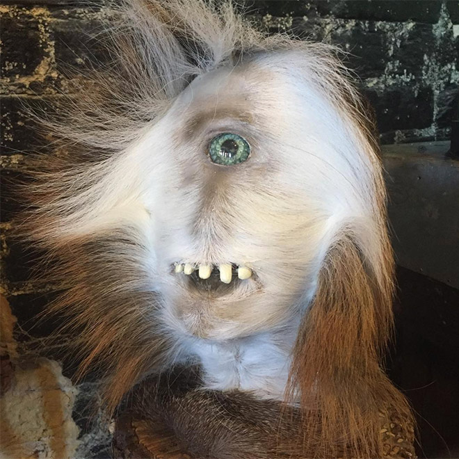 Taxidermists Are Seriously Turning Deer Butts Into Assquatches