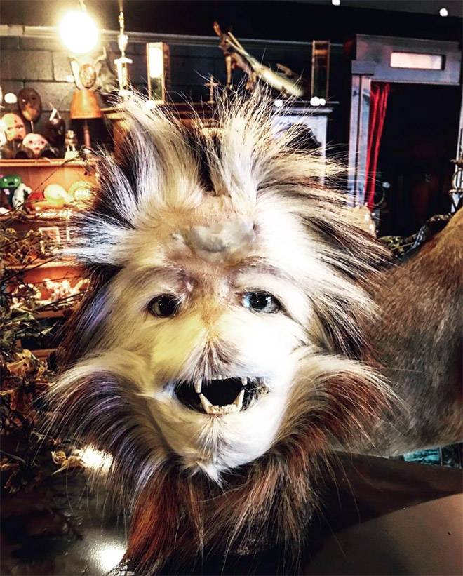 Taxidermists Are Seriously Turning Deer Butts Into Assquatches