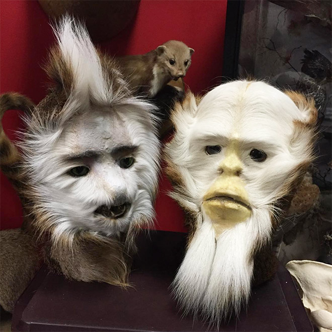 Taxidermists Are Seriously Turning Deer Butts Into Assquatches