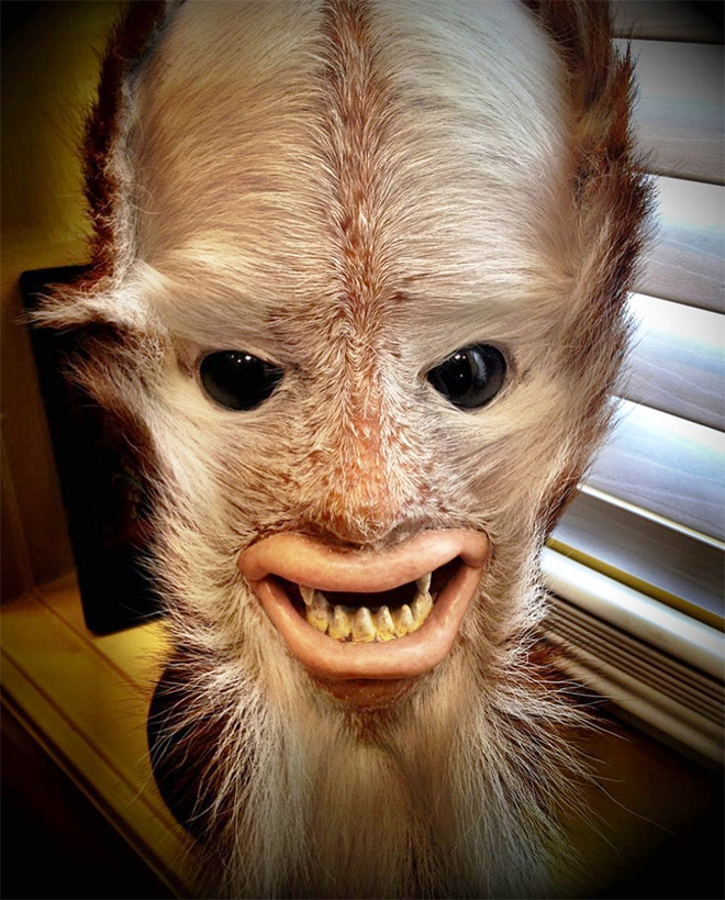 Taxidermists Are Seriously Turning Deer Butts Into Assquatches