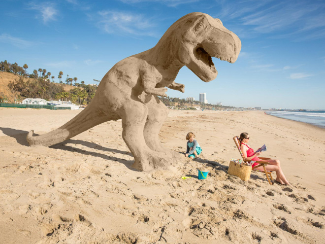 The Clever and Funny Photography of David Zaitz