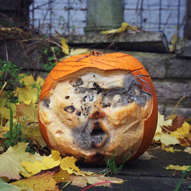 The Funniest Trumpkins That Will Help Scare Off Trick-Or-Treaters