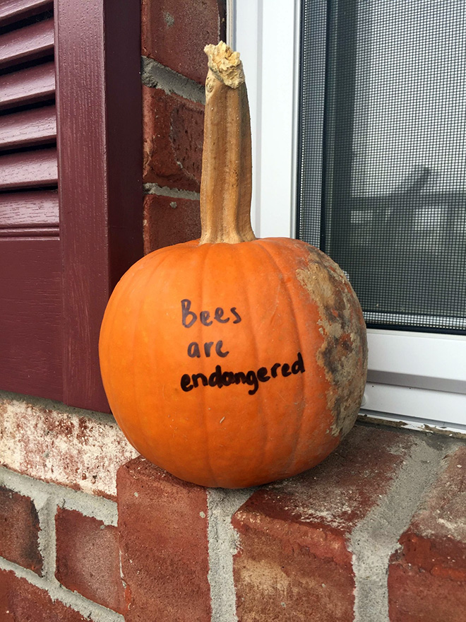 The Scariest Halloween Pumpkins Ever Carved