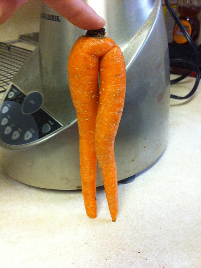 The World’s Greatest Gallery of Seductive Carrots
