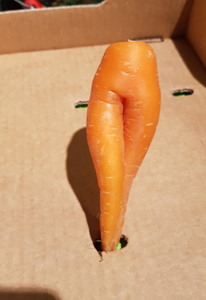 The World’s Greatest Gallery of Seductive Carrots