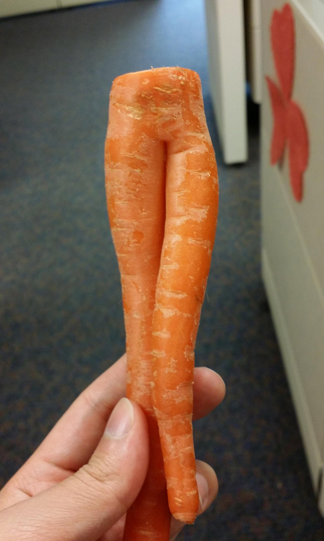 The World’s Greatest Gallery of Seductive Carrots