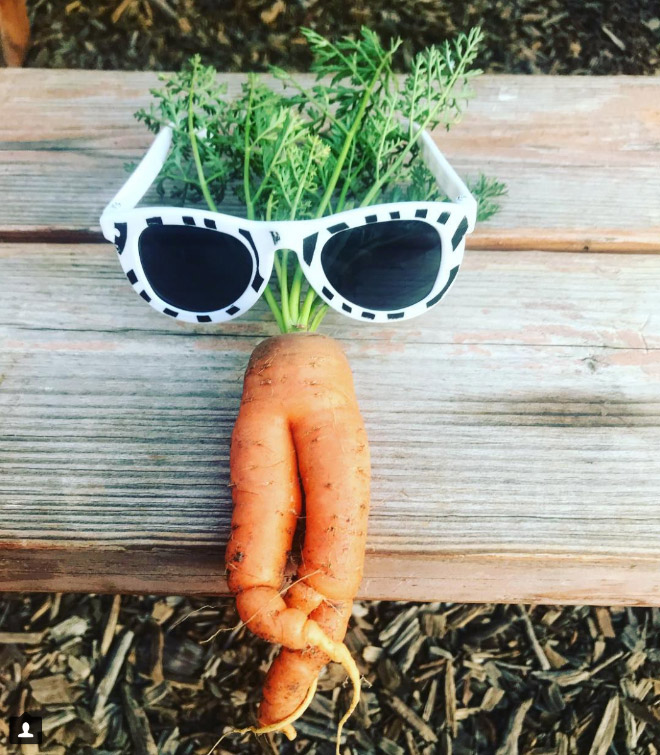 The World’s Greatest Gallery of Seductive Carrots