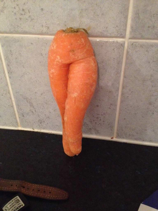 The World’s Greatest Gallery of Seductive Carrots