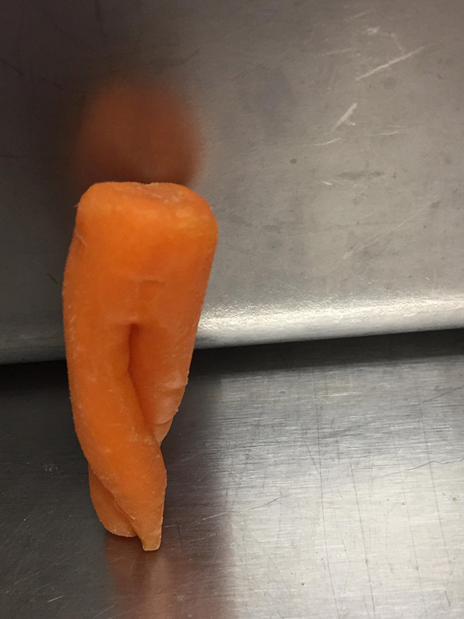 The World’s Greatest Gallery of Seductive Carrots