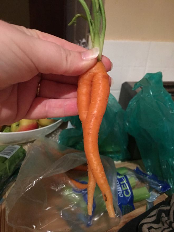The World’s Greatest Gallery of Seductive Carrots