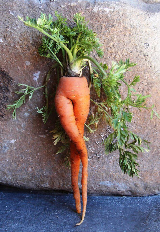 The World’s Greatest Gallery of Seductive Carrots