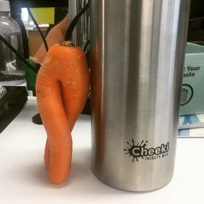 The World’s Greatest Gallery of Seductive Carrots