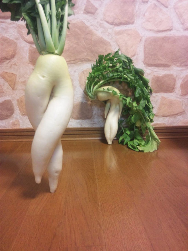 The World’s Greatest Gallery of Seductive Radishes