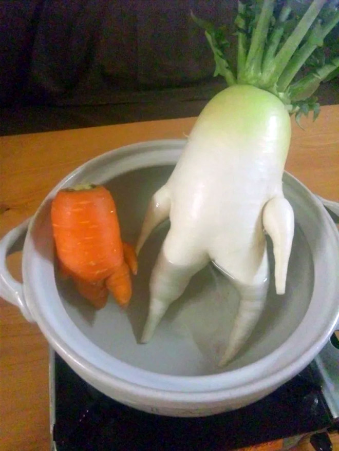 The World’s Greatest Gallery of Seductive Radishes