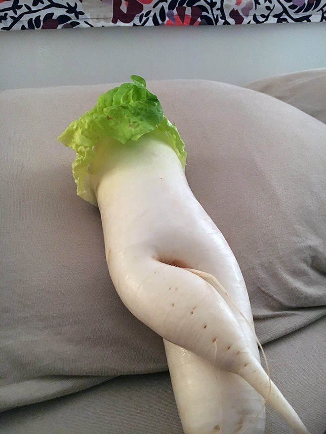 The World’s Greatest Gallery of Seductive Radishes