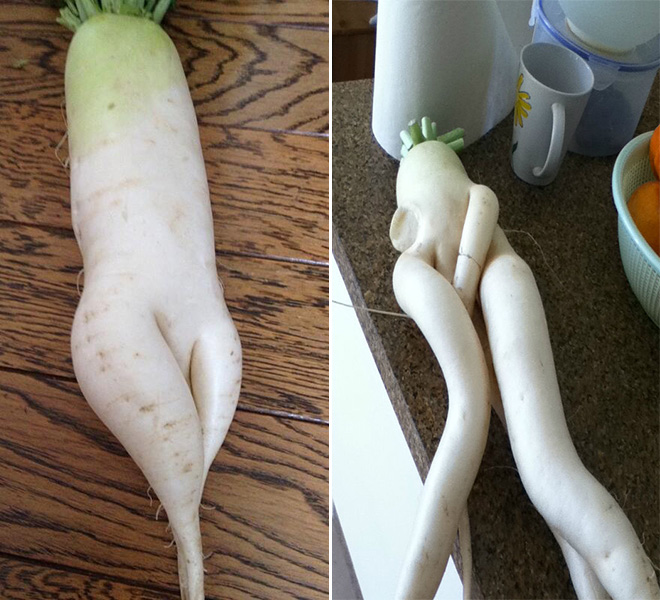 The World’s Greatest Gallery of Seductive Radishes