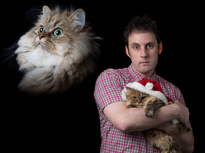 The World’s Greatest Photos of Men Posing With Cats