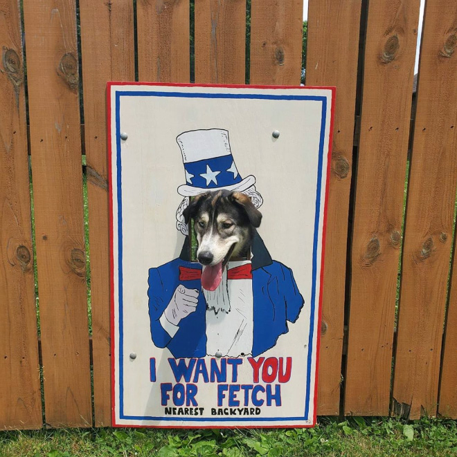 These Guys Make Neighborhood Laugh With Creative Fence Windows For Dogs