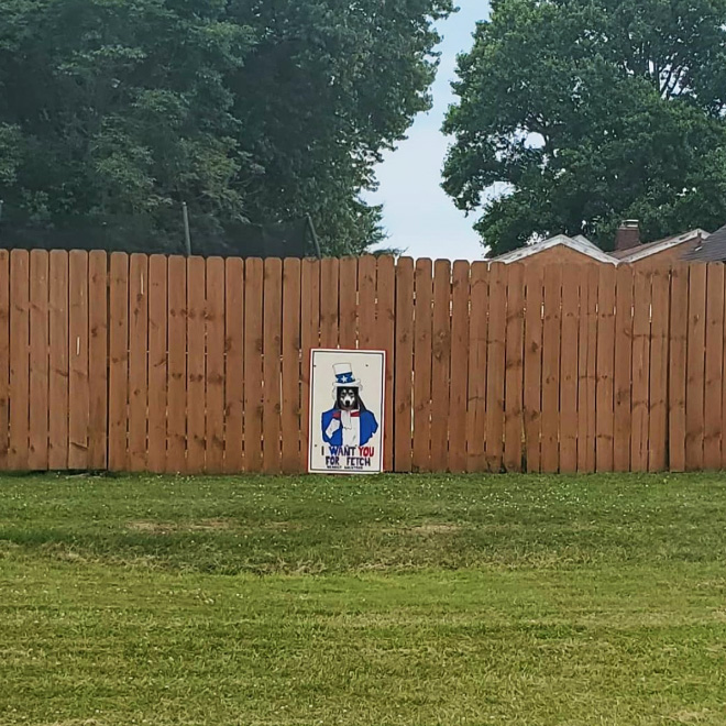 These Guys Make Neighborhood Laugh With Creative Fence Windows For Dogs