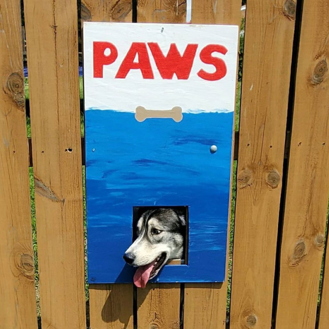 These Guys Make Neighborhood Laugh With Creative Fence Windows For Dogs