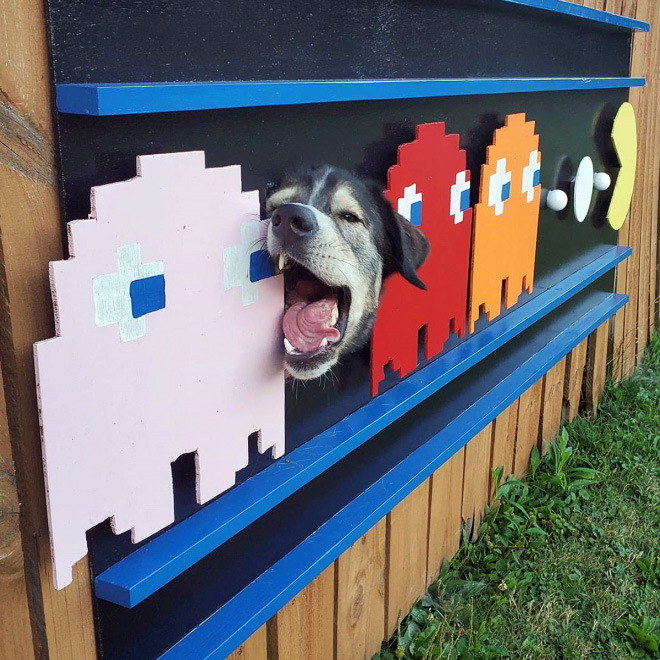These Guys Make Neighborhood Laugh With Creative Fence Windows For Dogs