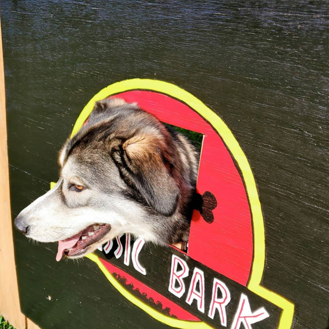 These Guys Make Neighborhood Laugh With Creative Fence Windows For Dogs