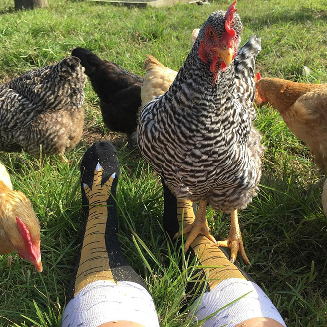 These Socks Make It Look Like You Have Actual Chicken Legs