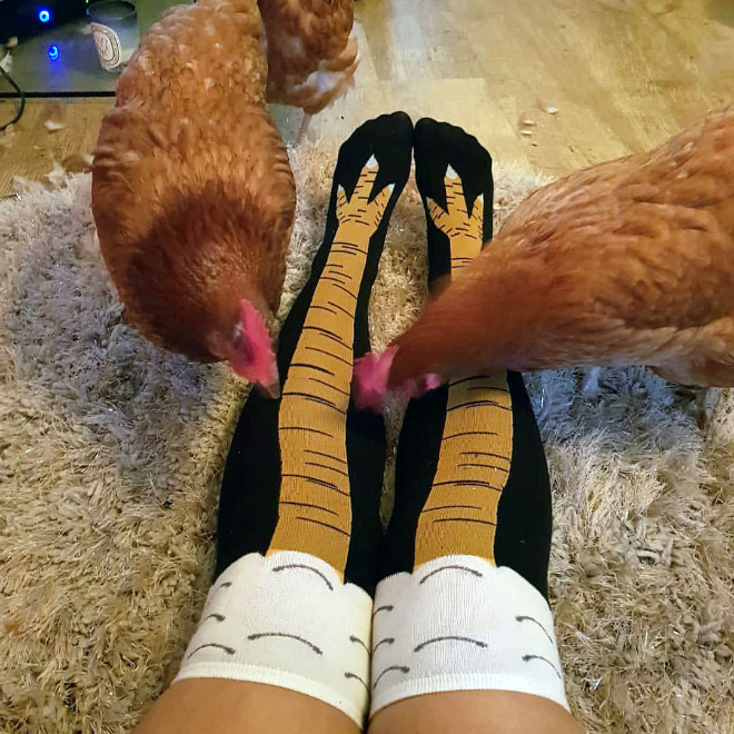 These Socks Make It Look Like You Have Actual Chicken Legs