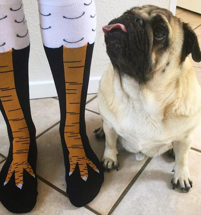 These Socks Make It Look Like You Have Actual Chicken Legs
