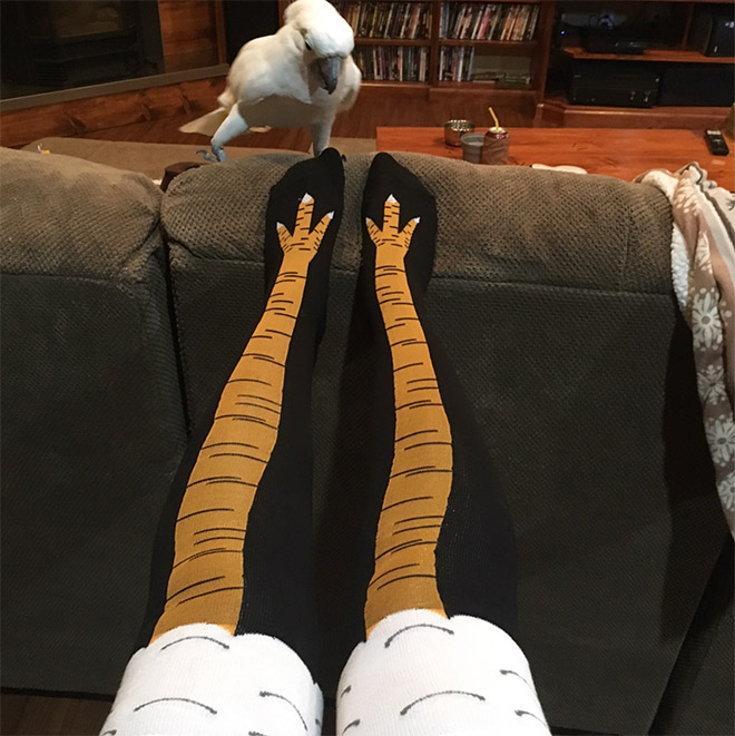 These Socks Make It Look Like You Have Actual Chicken Legs