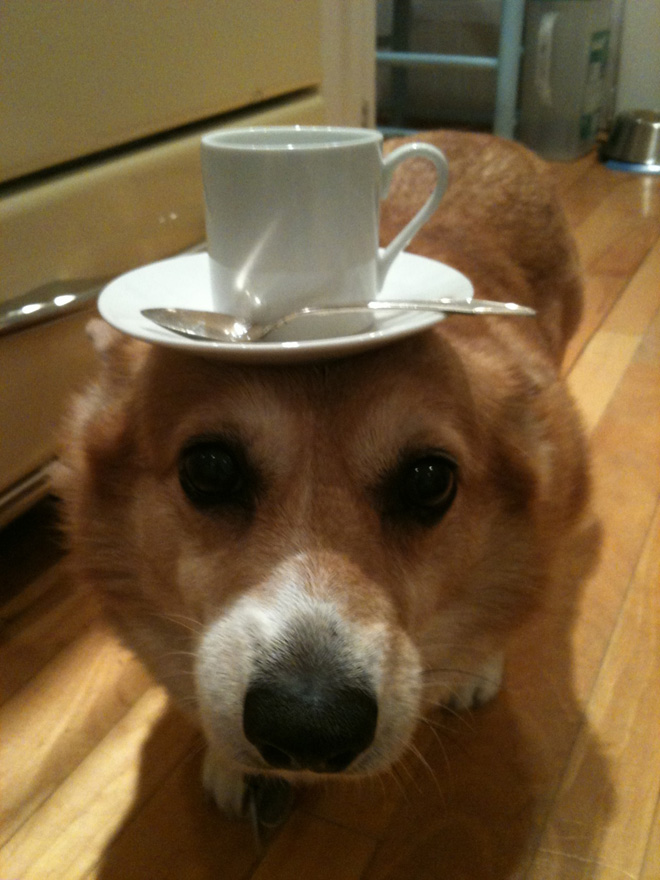 Things on Hazel’s Head