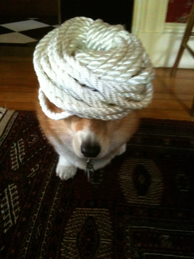 Things on Hazel’s Head
