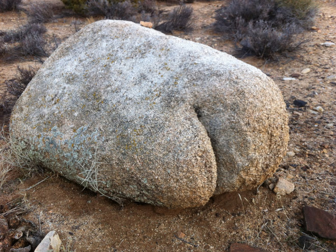 Things That Totally Look Like Butts, But Definitely Are Not Butts