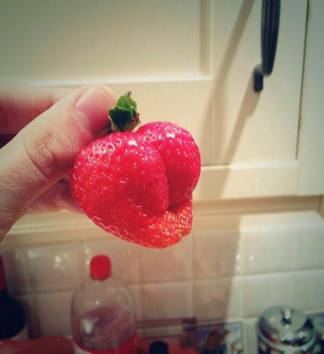 Things That Totally Look Like Butts, But Definitely Are Not Butts