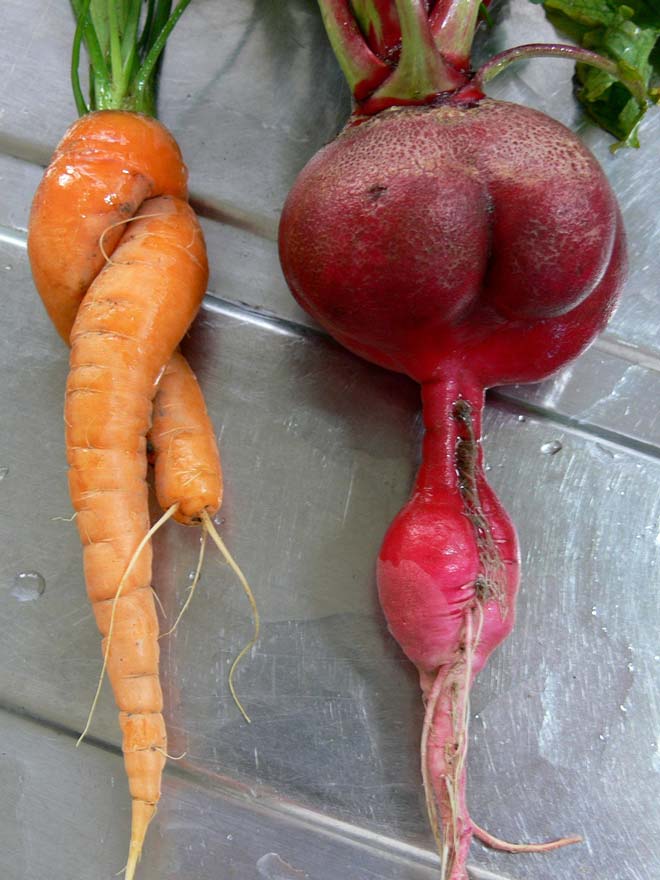 Things That Totally Look Like Butts, But Definitely Are Not Butts