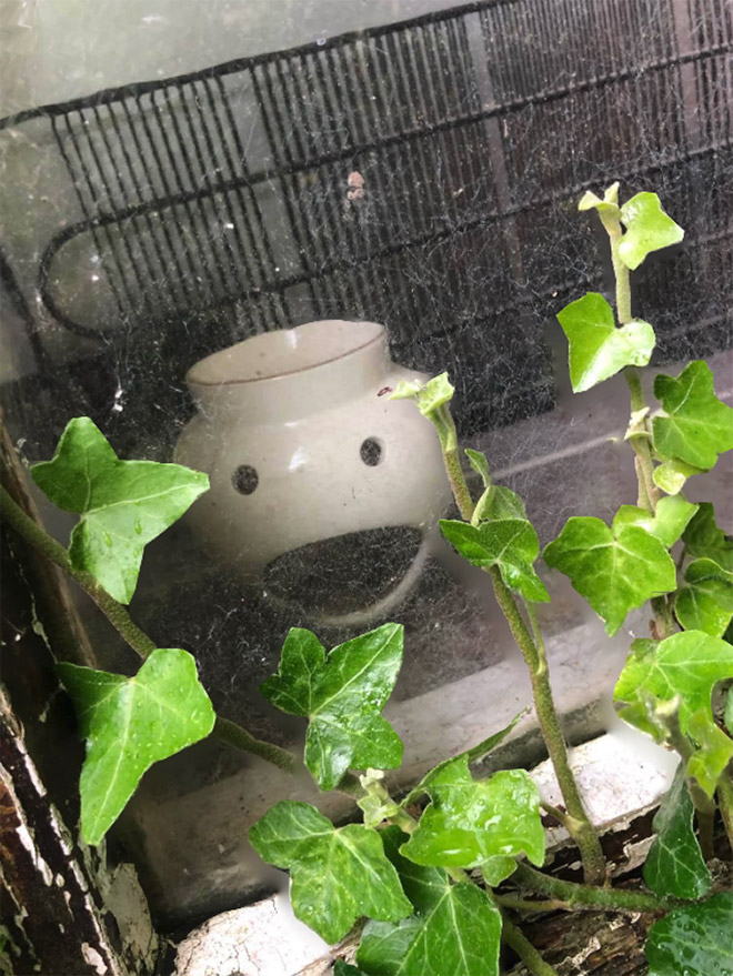 “Things With Faces” Facebook Group’s Members  Are Seeing Faces Literally Everywhere