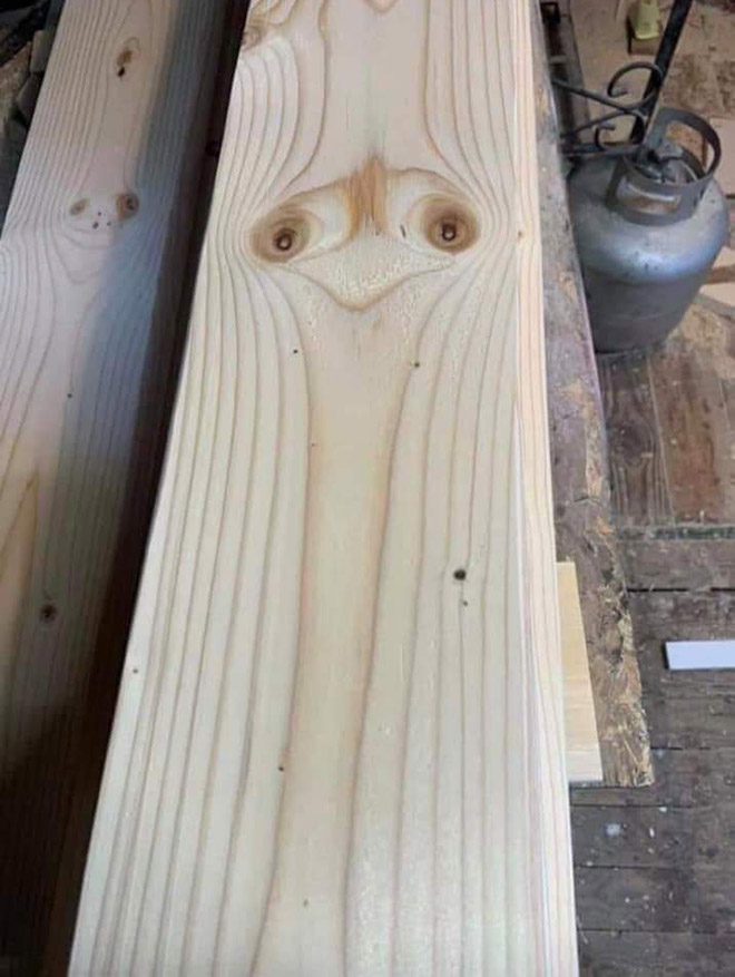 “Things With Faces” Facebook Group’s Members  Are Seeing Faces Literally Everywhere