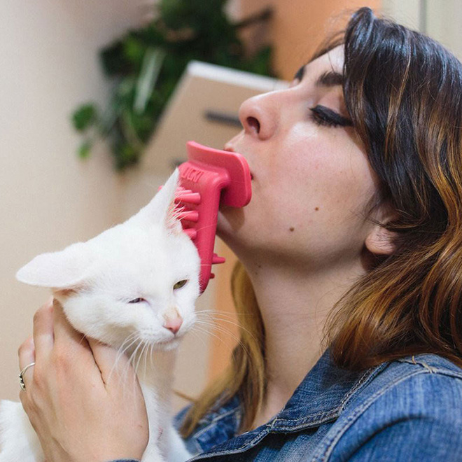 This Brush You Hold With Your Mouth Lets You Lick Your Cat