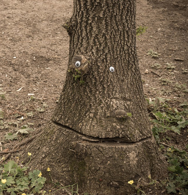 This Bulgarian Artist Eyebombs City’s Streets