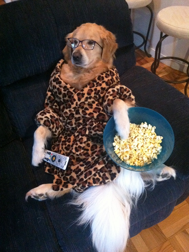This Dog Has No Idea What She’s Doing