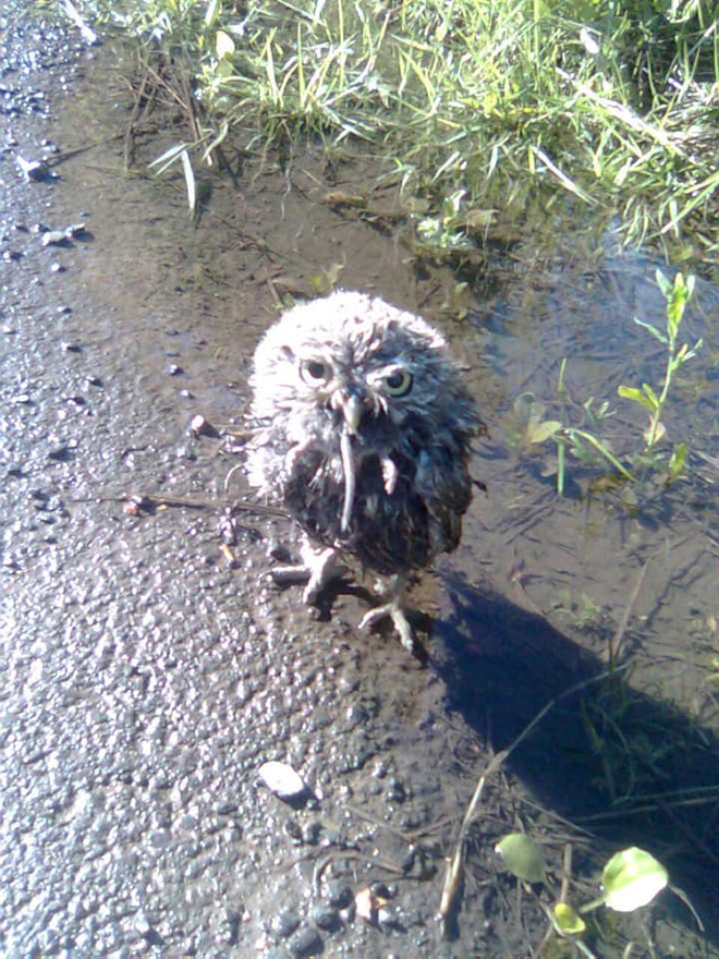 This Facebook Group Is Dedicated To Crappy Wildlife Photos That Are So Bad They’re Good
