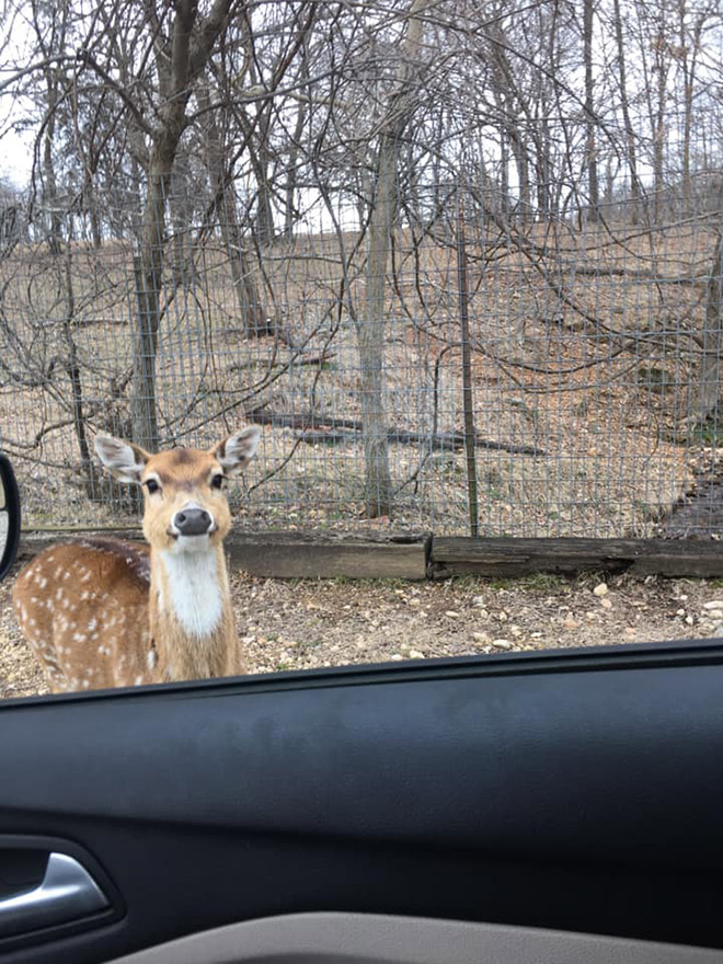 This Facebook Group Is Dedicated To Crappy Wildlife Photos That Are So Bad They’re Good