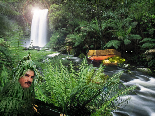 Tom Selleck Photoshopped Into Waterfall Scenes With a Sandwich