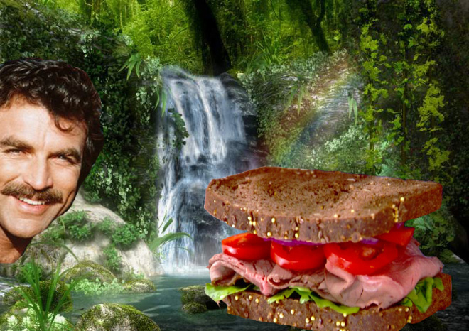 Tom Selleck Photoshopped Into Waterfall Scenes With a Sandwich