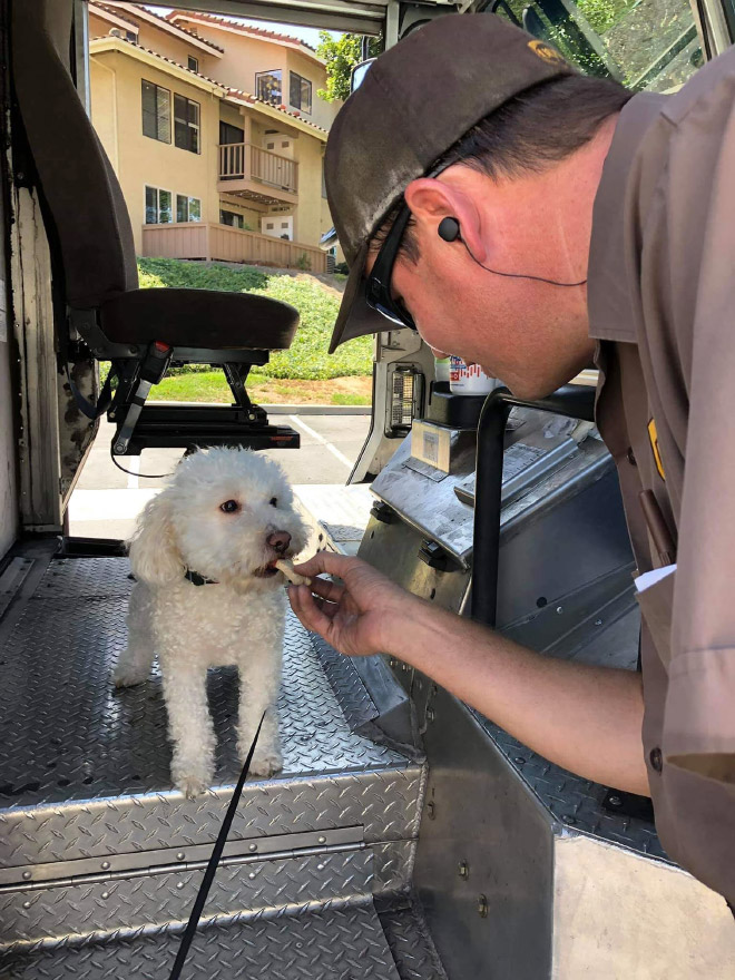 Turns Out, UPS Drivers Have a Facebook Group About Dogs They Meet On Their Routes