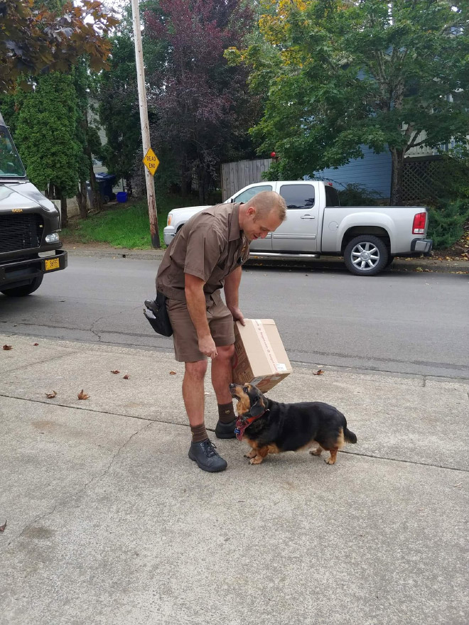 Turns Out, UPS Drivers Have a Facebook Group About Dogs They Meet On Their Routes