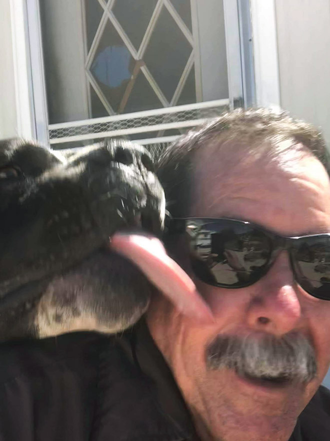 Turns Out, UPS Drivers Have a Facebook Group About Dogs They Meet On Their Routes