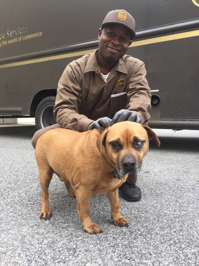 Turns Out, UPS Drivers Have a Facebook Group About Dogs They Meet On Their Routes